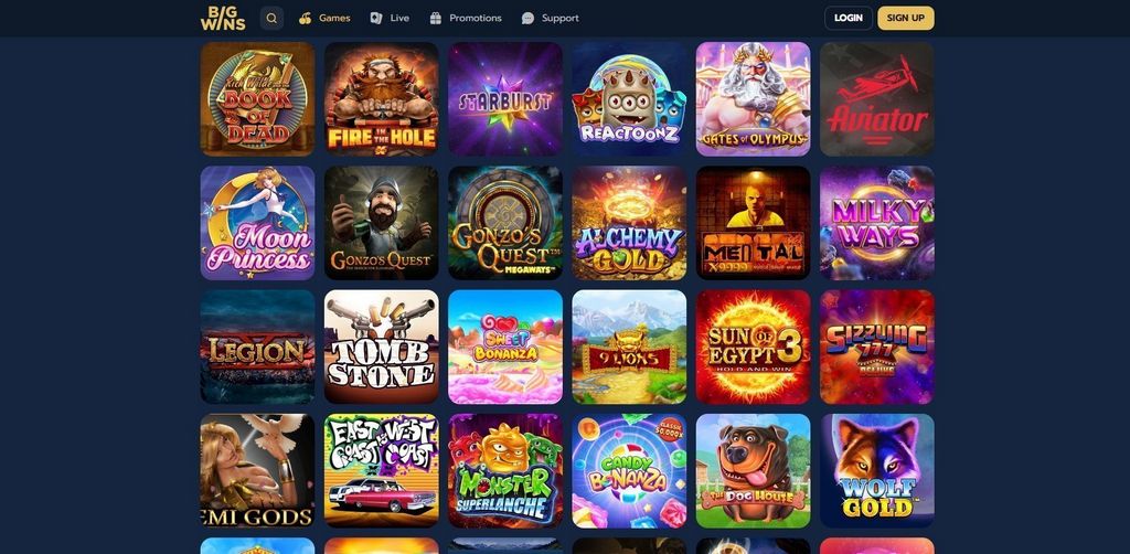 Bigwins Online Casino Review 2025